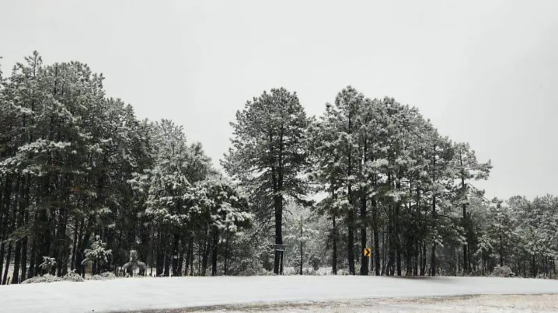 Nevada Guadalupe y Calvo